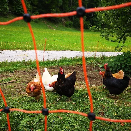 ファームステイ Leitenhof