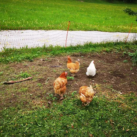 Leitenhof Agroturismo Hintersee