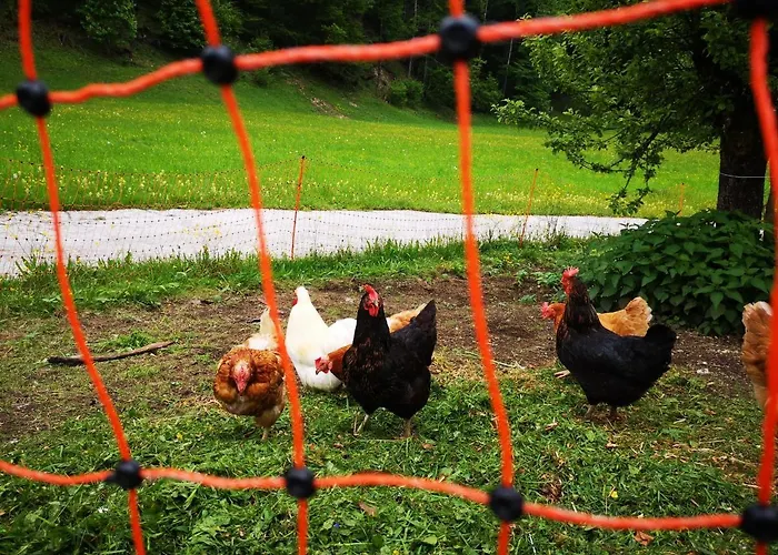 Séjour à la ferme Leitenhof