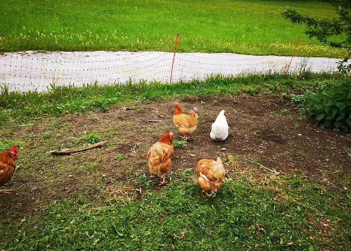 Leitenhof Farma Hintersee